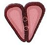 Coral Heart